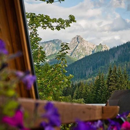 Dom Na Groniu Villa Kościelisko Kamer foto