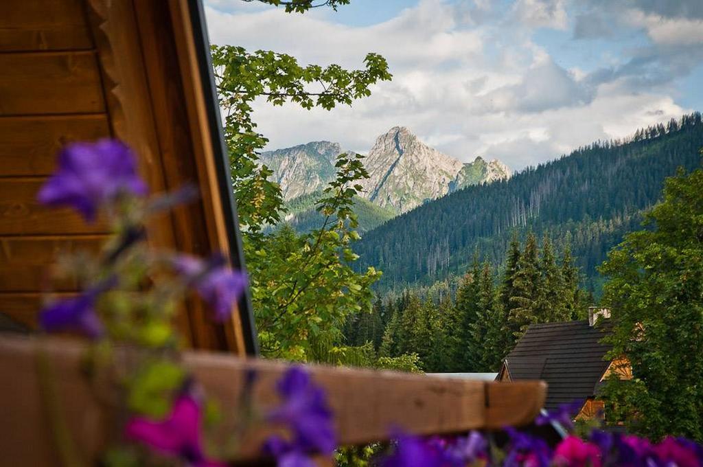 Dom Na Groniu Villa Kościelisko Kamer foto
